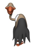 vulture_blinking_hr.jpg