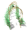multiple_archways_pat_a_sw.gif