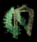 archway_tunnel_pathwa_a_tb.gif