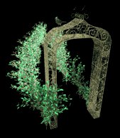 archway_tunnel_pathwa_a_lb.gif