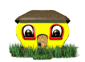 shy_house_mw.gif