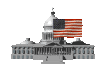 flag_on_capitol_sc.gif