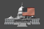 flag_on_capitol_mc.gif