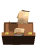 breifcase_papersfly_sw.gif