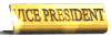 vicepres_mw.gif