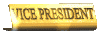 vicepres_mc.gif