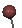 small_pin_brown_sc.gif