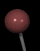 small_pin_brown_lb.gif