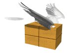 package_wings_lw.gif
