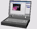 laptop3_lines_lc.gif