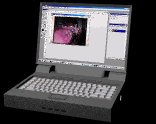 laptop3_lines_lb.gif