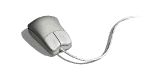 mouse_circularmovement_lw.gif