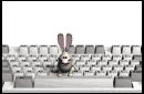 keyboard2_dustbunny_j_a_mw.gif