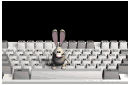 keyboard2_dustbunny_j_a_mb.gif