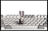 keyboard2_dustbunny_j_a_lw.gif