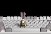 keyboard2_dustbunny_j_a_lc.gif