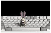 keyboard2_dustbunny_j_a_lb.gif