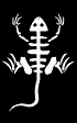 tribal_lizard_shake_sb.gif