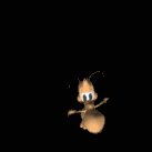 cootie_jumping_lb.gif