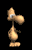 cootie_dancing_tb.gif