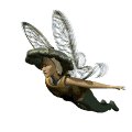fairy_soaring_mw.gif
