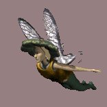 fairy_soaring_lc.gif