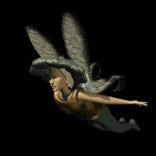 fairy_soaring_lb.gif