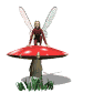 fairy_crouched2_sw.gif