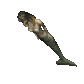 mermaid_swimming_sc.gif