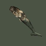 mermaid_swimming_lc.gif
