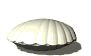 mermaid_insideseashell_sw.gif