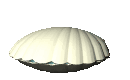 mermaid_insideseashell_mc.gif