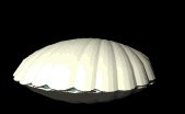 mermaid_insideseashell_lb.gif