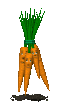 unhappy_carrot_bunch_sc.gif