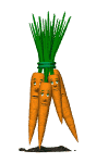 unhappy_carrot_bunch_mw.gif