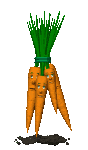 unhappy_carrot_bunch_mc.gif