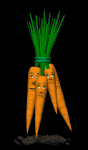 unhappy_carrot_bunch_mb.gif