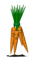 unhappy_carrot_bunch_lw.gif