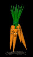unhappy_carrot_bunch_lb.gif