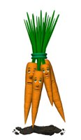 unhappy_carrot_bunch_006.jpg