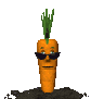 cool_carrot_sc.gif