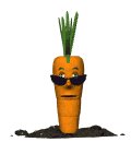 cool_carrot_mw.gif