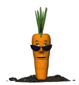 cool_carrot_lw.gif