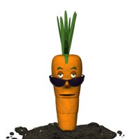 cool_carrot_hr.jpg