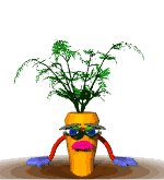 carrott2_escape_mw.gif