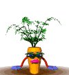 carrott1_escape_lw.gif