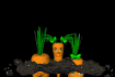 carrot_hide_and_seek_sb.gif