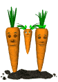 carrot_family_swing_sw.gif