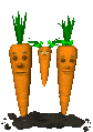 carrot_family_swing_sc.gif