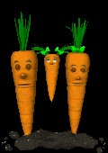 carrot_family_swing_mc.gif